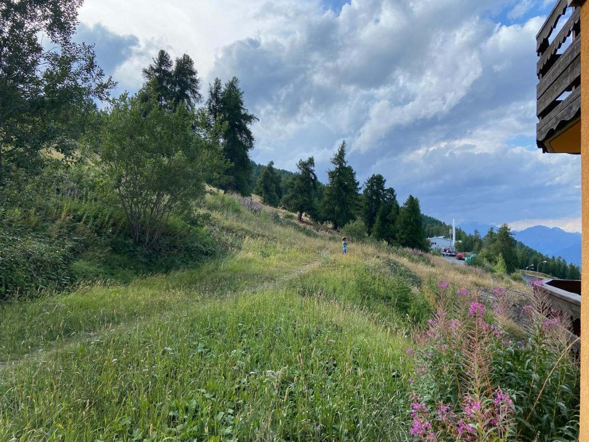 Pied Des Pistes, 2 Pieces, 6Pers, Piscine Et Sauna Risoul Eksteriør bilde