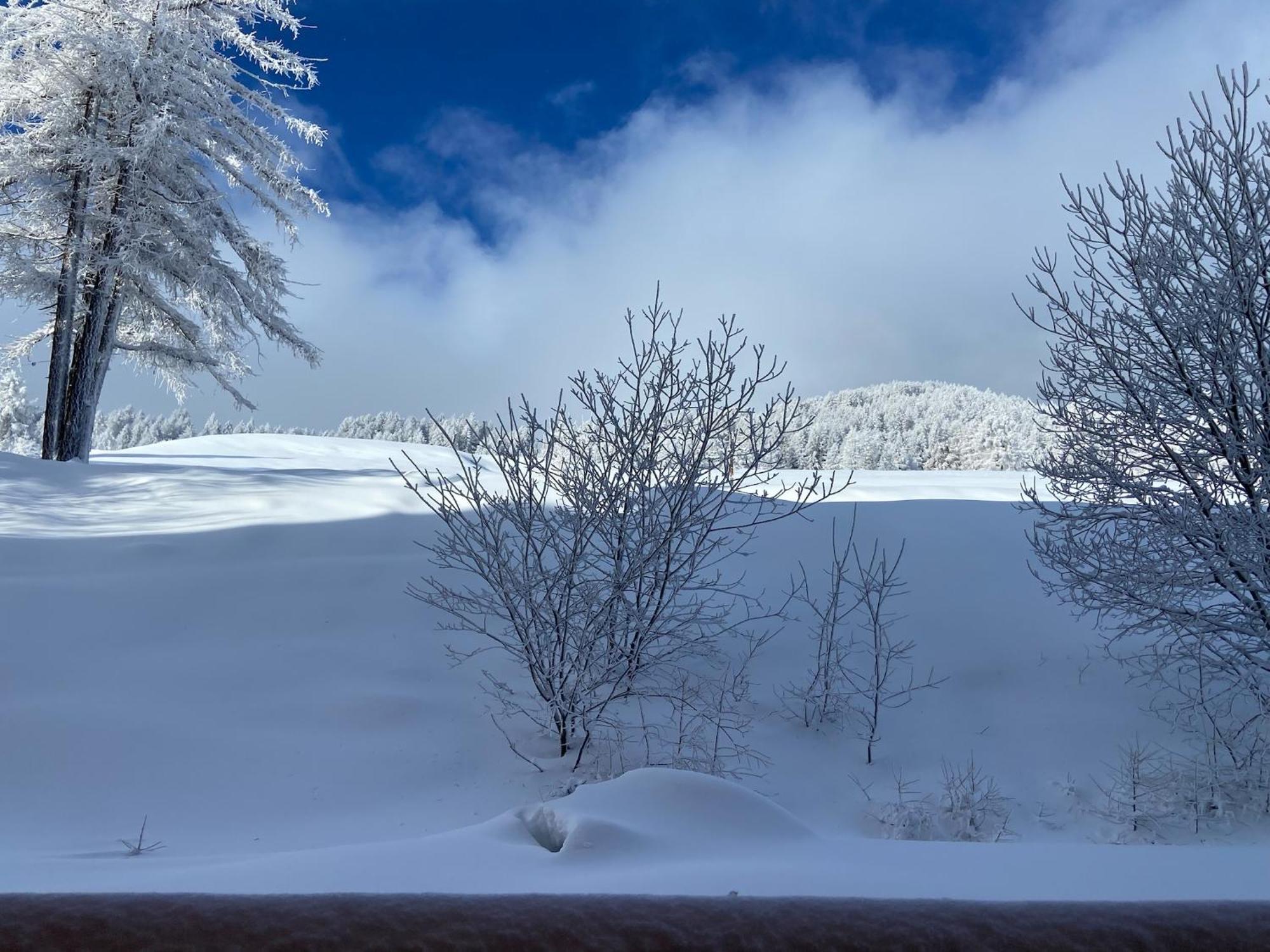Pied Des Pistes, 2 Pieces, 6Pers, Piscine Et Sauna Risoul Eksteriør bilde